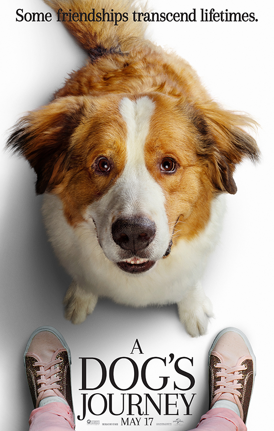 a dog's journey now tv